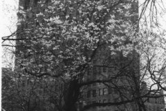 flatiron