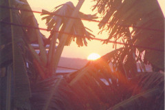 jamaican-sun