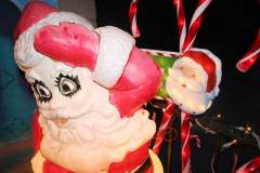 santa-close-up