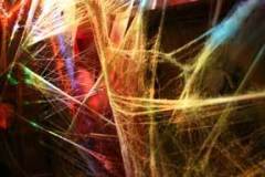 web-of-light-1