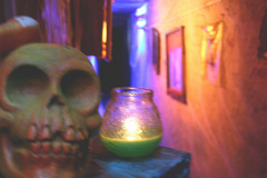 hg-skull