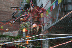 IMG_4182
