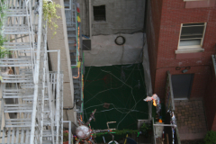 IMG_4253