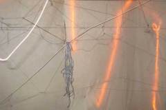 northeast-corner-wire-tao